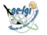 Association des étudiants de la FGI